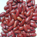 British Red Kidney Beans